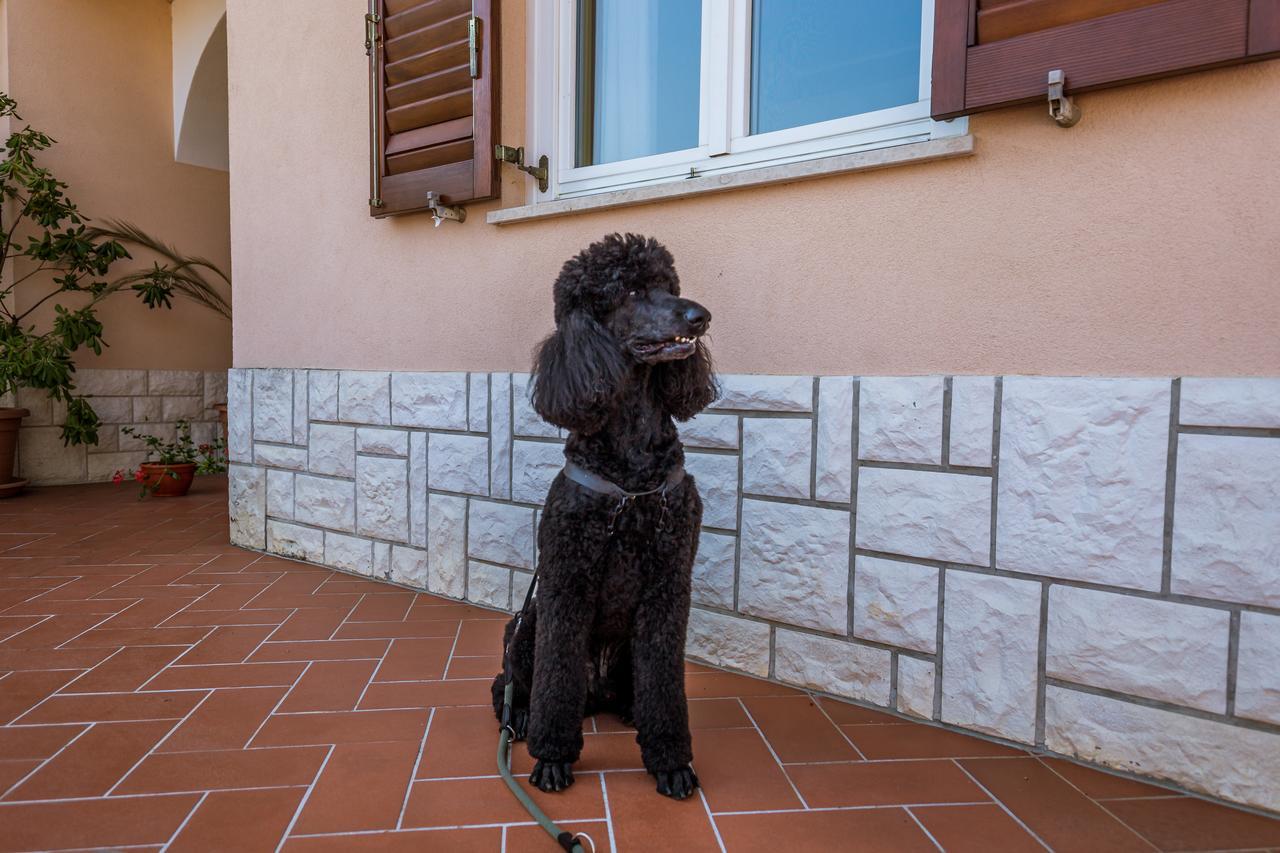 Rona Apartments Ani Ičići Eksteriør bilde